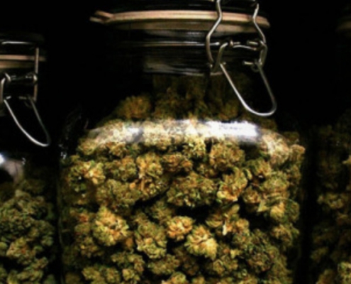 Cannabis Jars