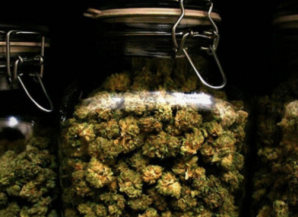 Cannabis Jars
