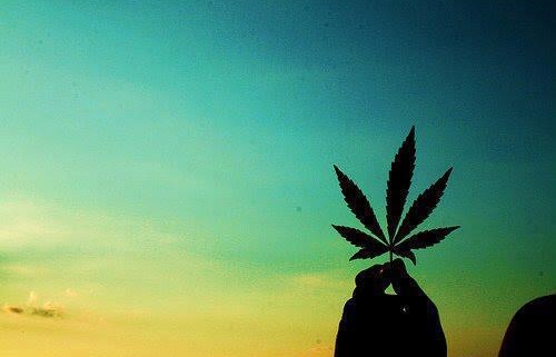 Cannabis Leaf laaralyne
