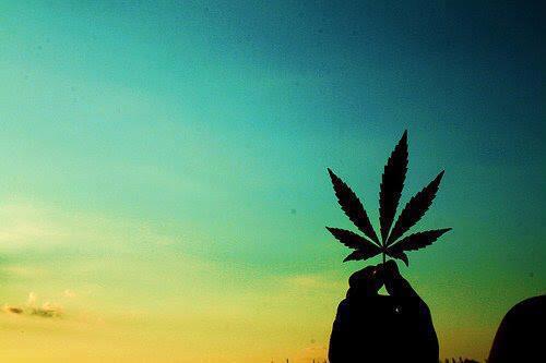 Cannabis Leaf laaralyne