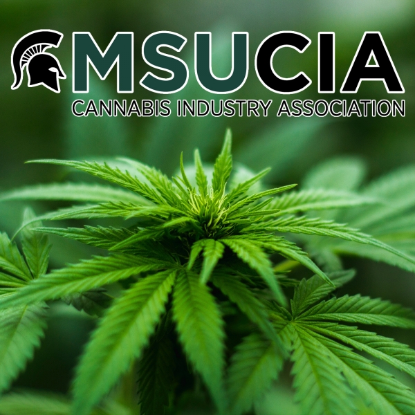 MSU Cannabis Industry Association