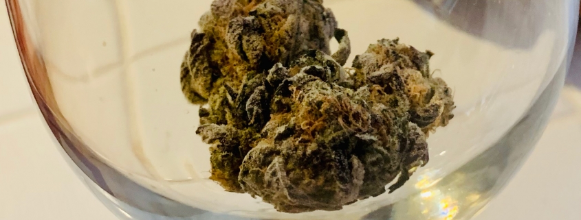 Marijuana Bud in Wine Glass