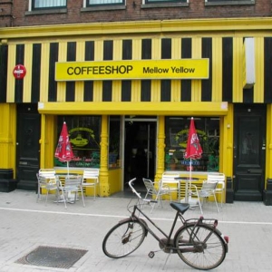 Amsterdam Cannabis Cafe