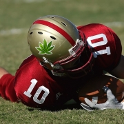 NFL Cannabis & Concussions
