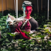 DJ GRiZ with Astro Hippie Cannabis