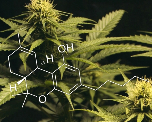 Medical Marijuana Research - Cannabis Molecule