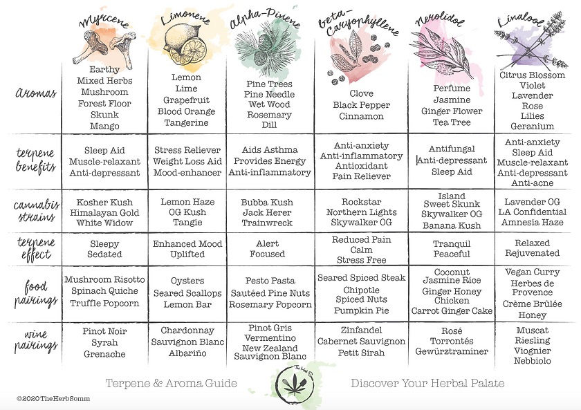 The Herb Somm's Terpene & Aroma Pairing Guide